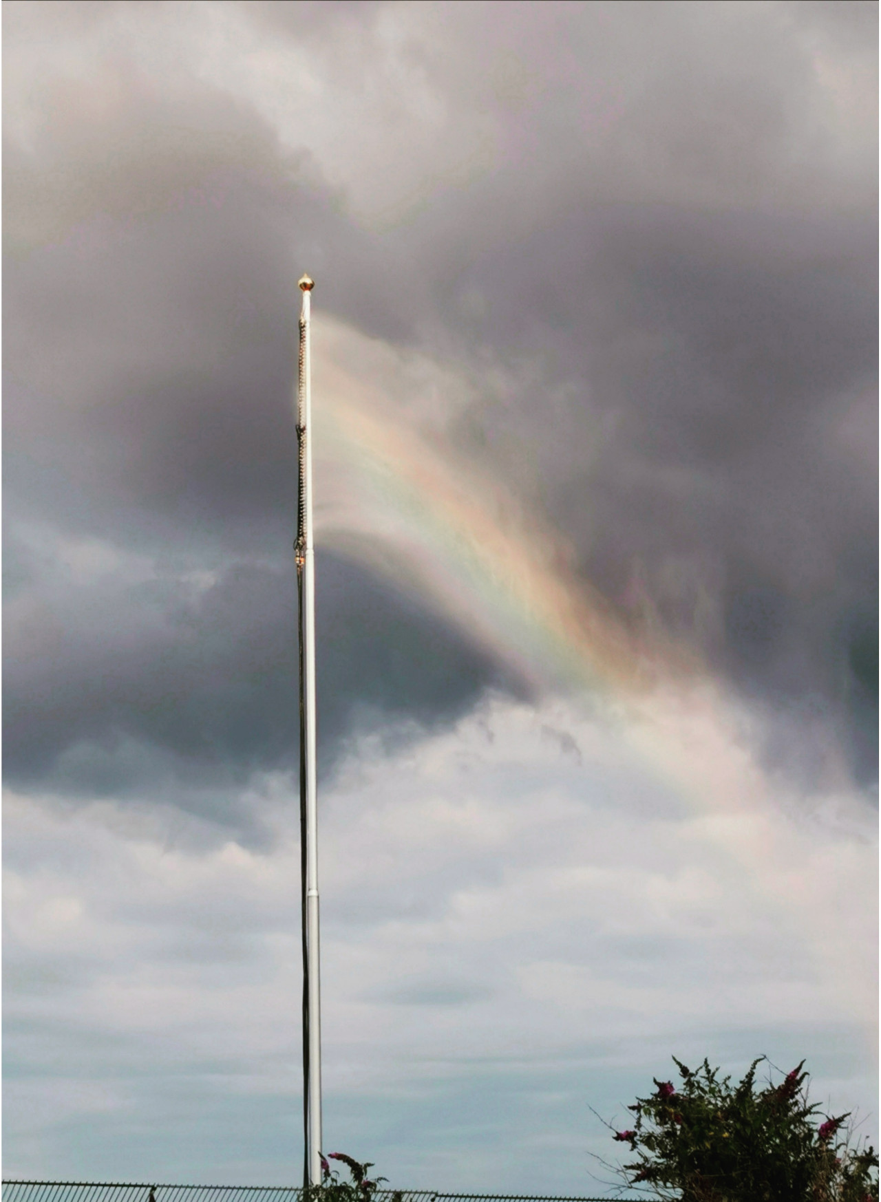 Dissolve. Alexandra Griess